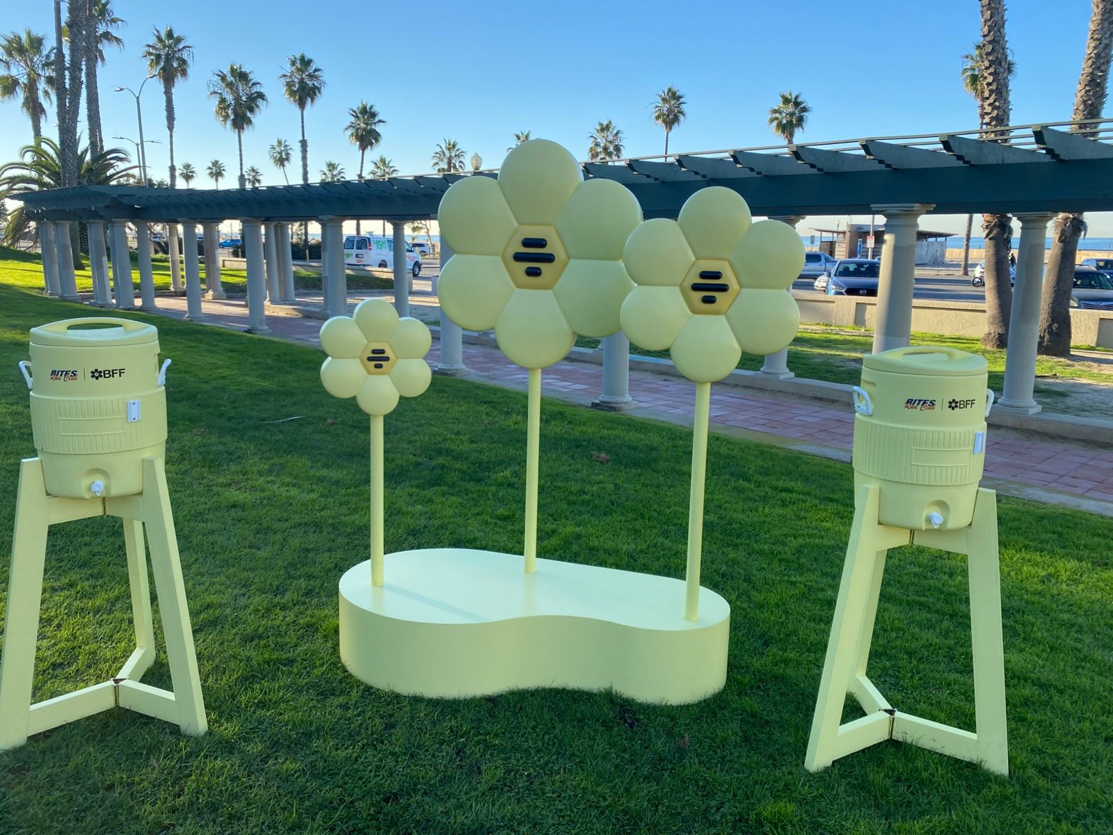 Coastal activation display